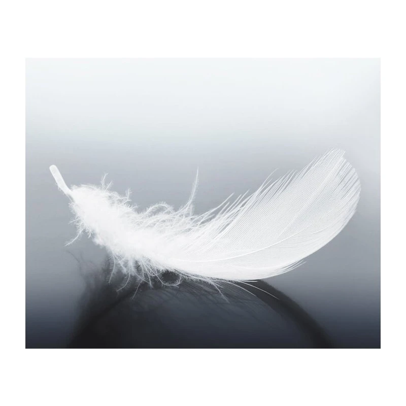 Възглавница с гъши пух White Boutique Diamond, 50х70 см